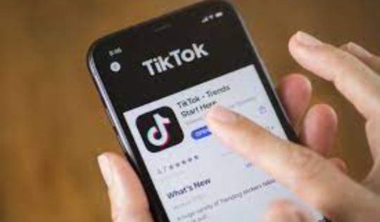 TikTok脱机学习和它如何归纳TikTok经验